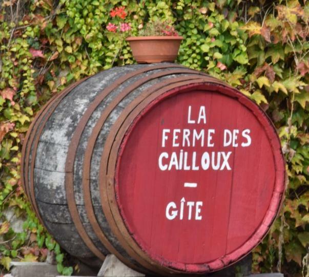 La Ferme Des Cailloux Villa Sassay Eksteriør billede